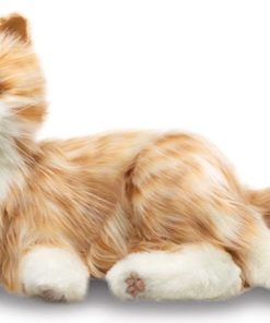 Chat d’empathie Robot – Roux