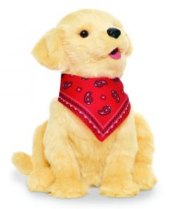 Chien d’empathie Robotisé